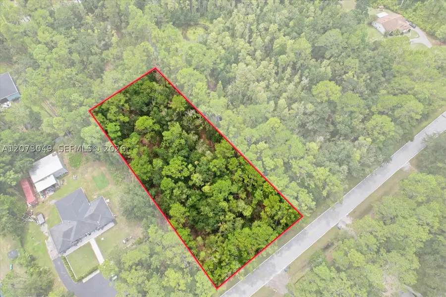 Lot 133 Green Willow Run, Central Pasco, FL 33544 - #2