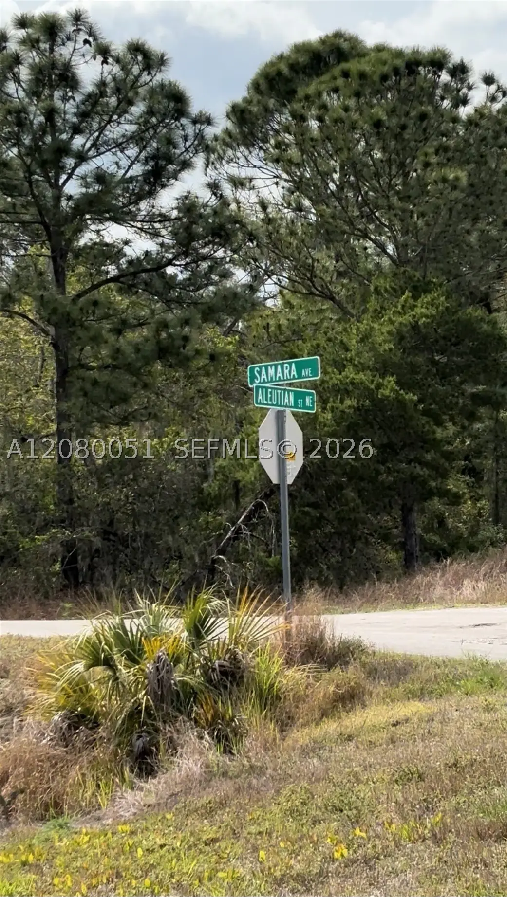 1215 Aleutian St Ne, Lake Placid, FL 33852 - #1