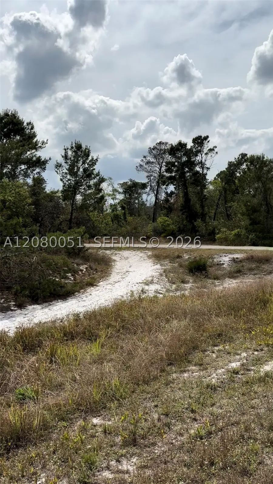 1215 Aleutian St Ne, Lake Placid, FL 33852 - #3