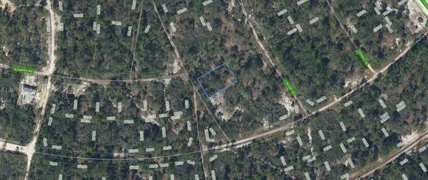 379 Blue Horizon Drive, Lake Placid, FL 33852