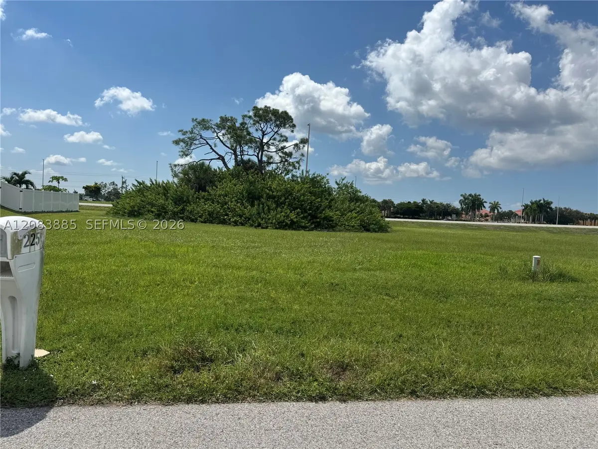 224 SW 31 St Pl, Cape Coral, FL 33991 - #1