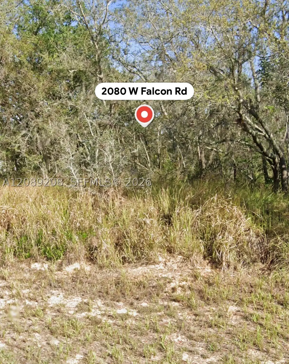 2080 W Falcon Rd, Avon Park, FL 33825 - #1