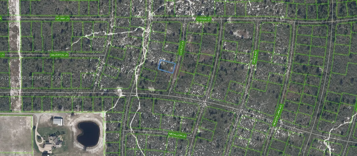 431 Lucille Lane, Lake Placid, FL 33852 - #1