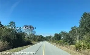 505 Hallmark Avenue, Lake Placid, FL 33852 - #3