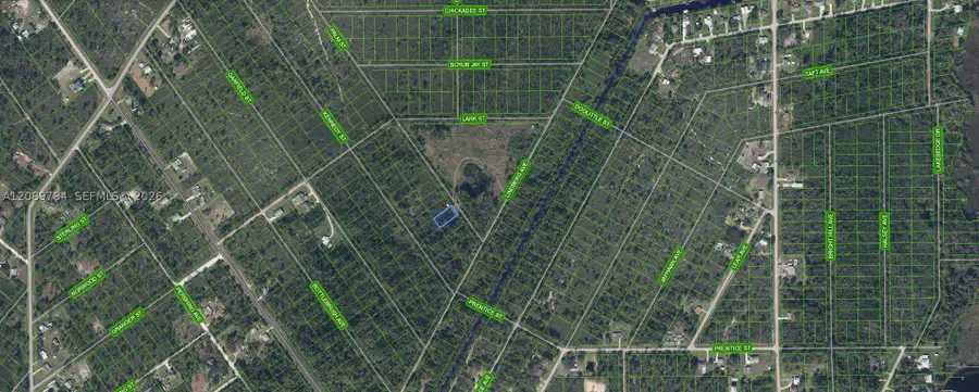 546 Palm Street, Lake Placid, FL 33852 - #2