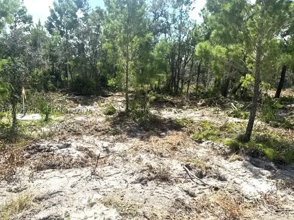 206 Oriole Avenue, Sebring, FL 33870
