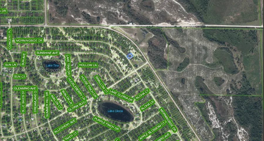 488 Morningside Drive, Lake Placid, FL 33852 - #2