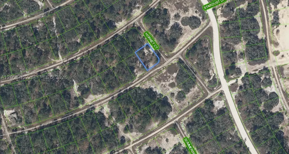 408 Hornet Court, Lake Placid, FL 33852 - #1