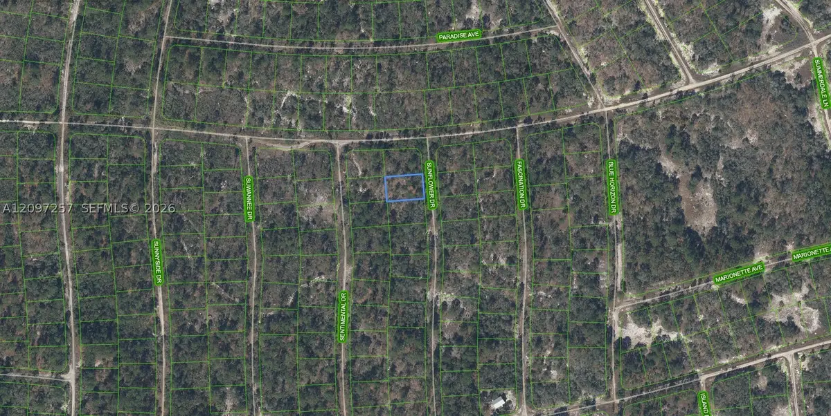 272 Sun Flower Dr, Lake Placid, FL 33852 - #1