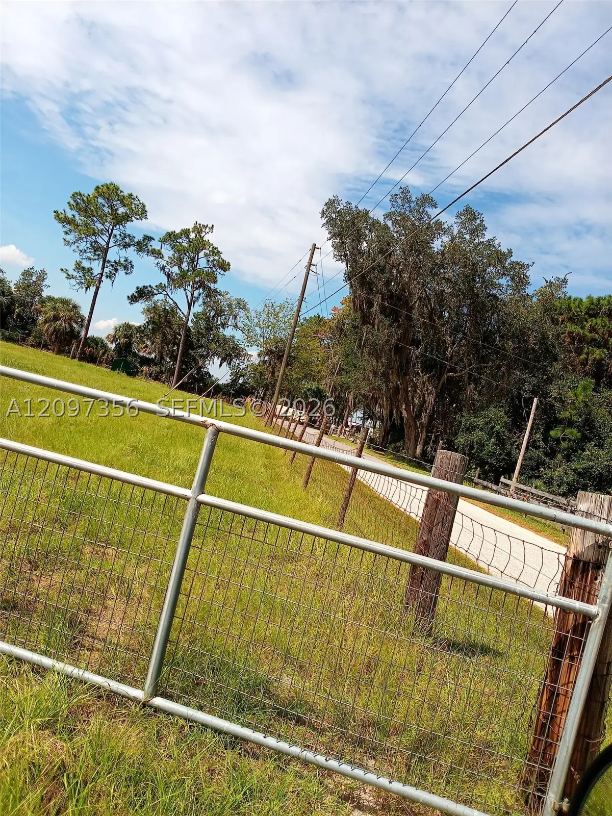 0000 Hickory Hollow Rd, Leesburg East, FL 34748 - #1