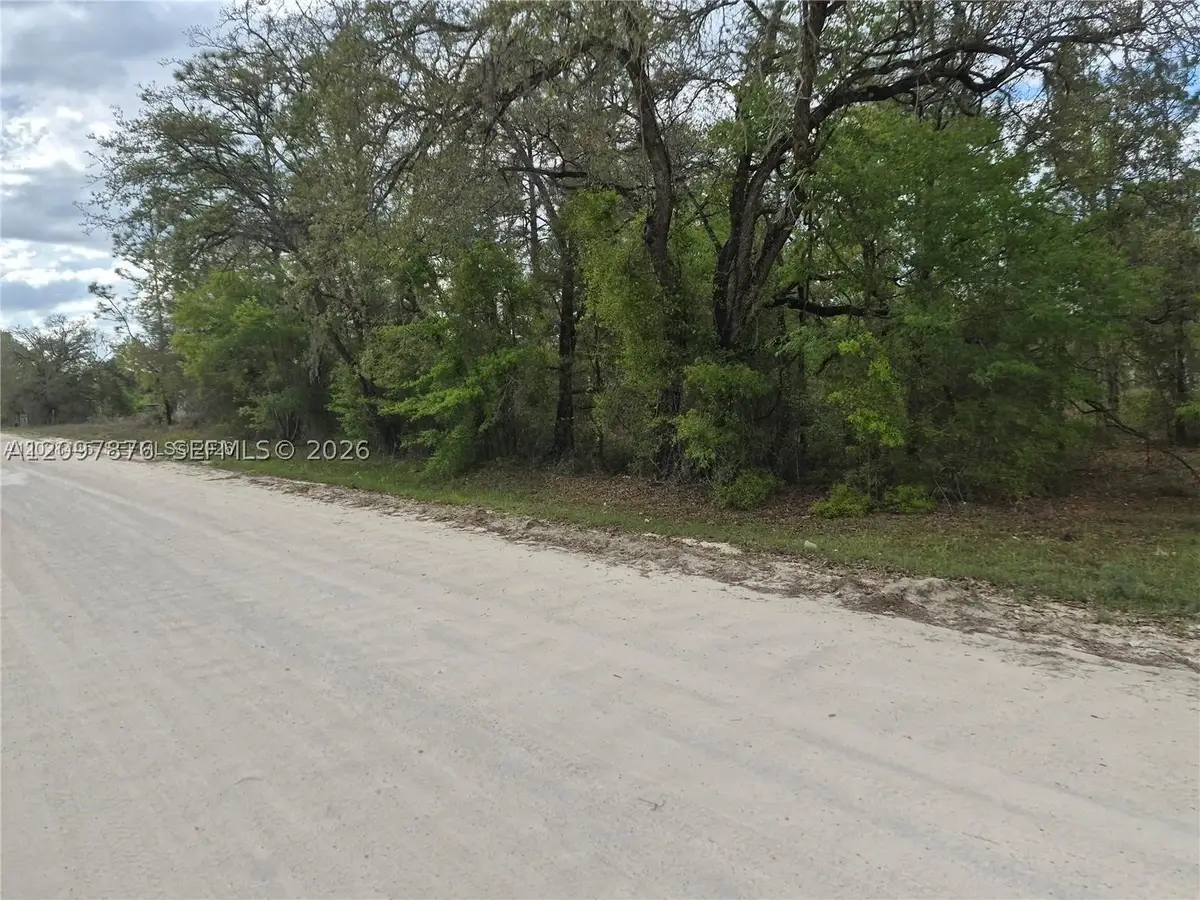 00 NE Ne 4th St, Williston, FL 32696 - #1