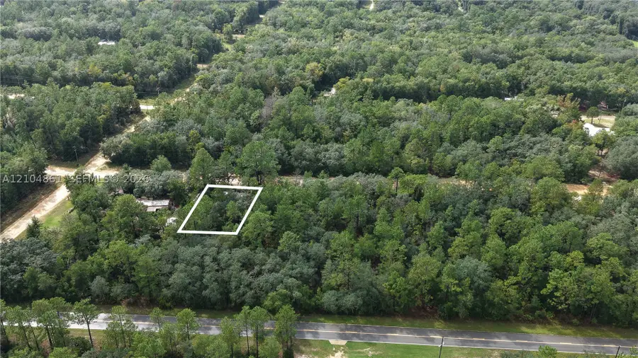 604 Del Monaco Ave, Interlachen Florahome, FL 32148 - #2