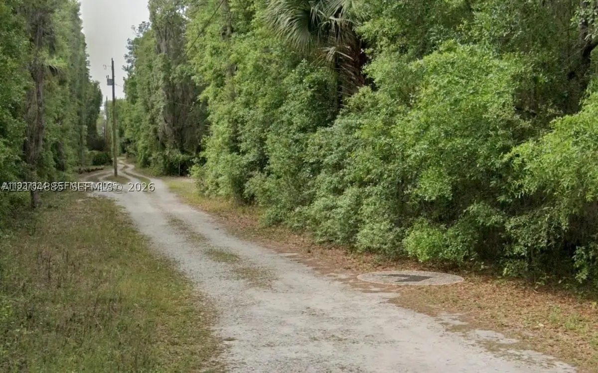 16400 NE 138th Ct, Fort McCoy Anthony, FL 32134 - #1