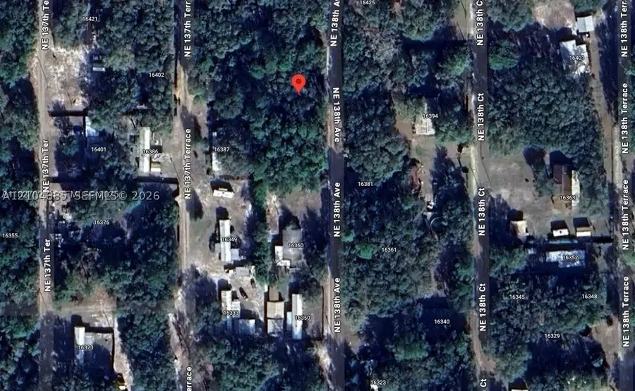 16400 NE 138th Ct, Fort McCoy Anthony, FL 32134 - #2