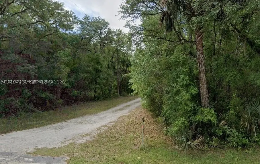 Lots 34 & 59 NE 138th Ct, Fort McCoy Anthony, FL 32134 - #1