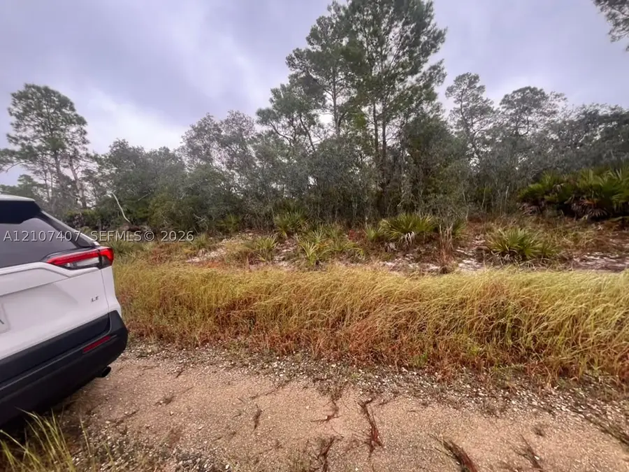 715 Scott St, Lake Placid, FL 33852 - #3