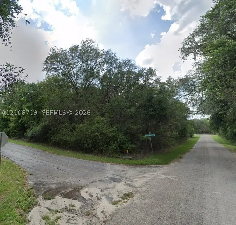 684 E Noah Ln, Citrus Springs, FL 34434 - #2