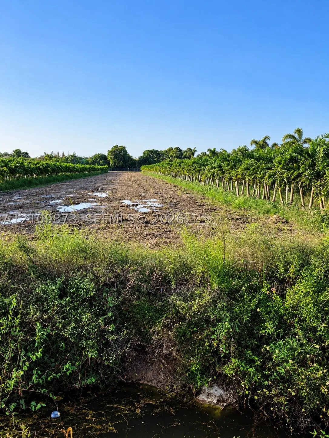 117th Ave, Homestead, FL 33033 - #1