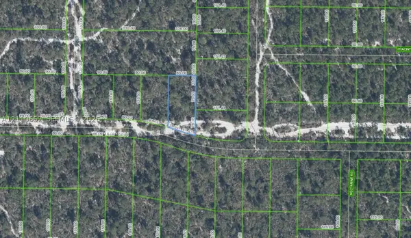 1320 Hyacinth Avenue, Sebring, FL 33875