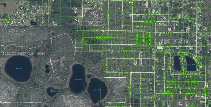2224 Iris Avenue, Sebring, FL 33875 - #2