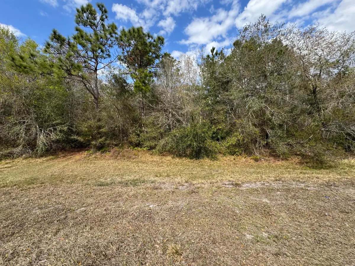 000 Canoe Creek Road, Kenansville, FL 34739 - #1