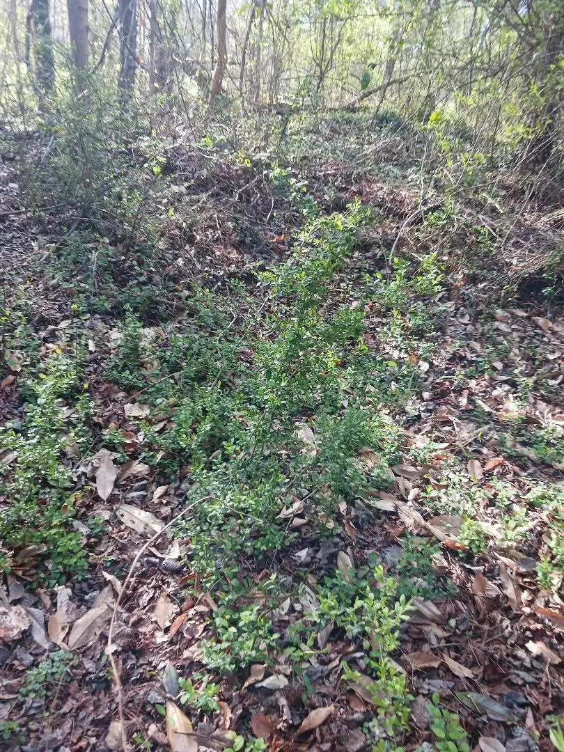 000 158 Lane, Lake City, FL 32024 - #2