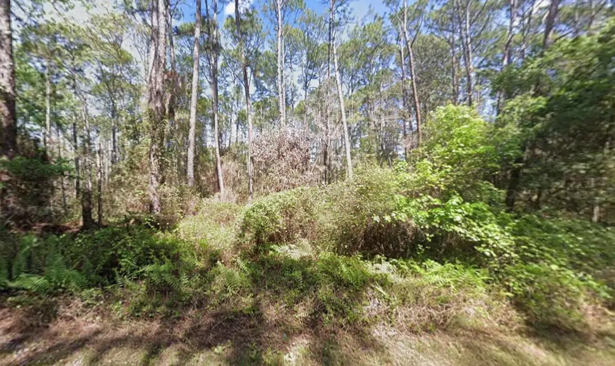 416 Palm Way, Georgetown, FL 32139 - #1