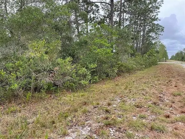 0 Bougainvillea Drive, ,, FL 33855