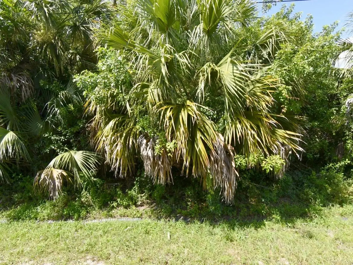 542 SW College Park Road, Port Saint Lucie, FL 34953 - #1