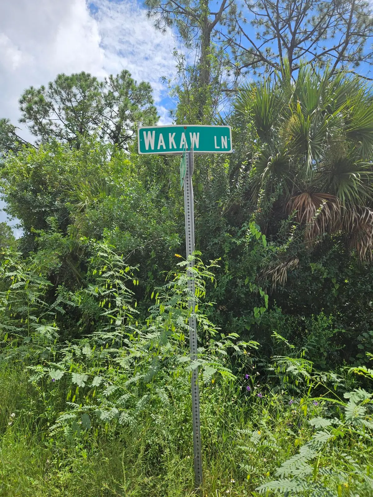 801 Wakaw Lane Sw, Palm Bay, FL 32908 - #1