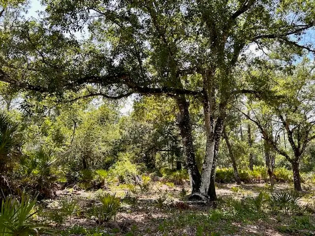 1116 Belmonte Drive, Indian Lake Estates, FL 33855 - #1