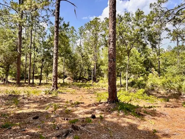 1116 Belmonte Drive, Indian Lake Estates, FL 33855 - #2
