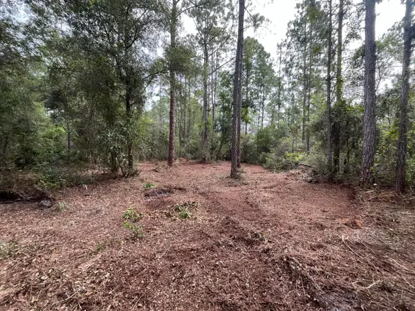 122 Glenside Street, ,, FL 32139