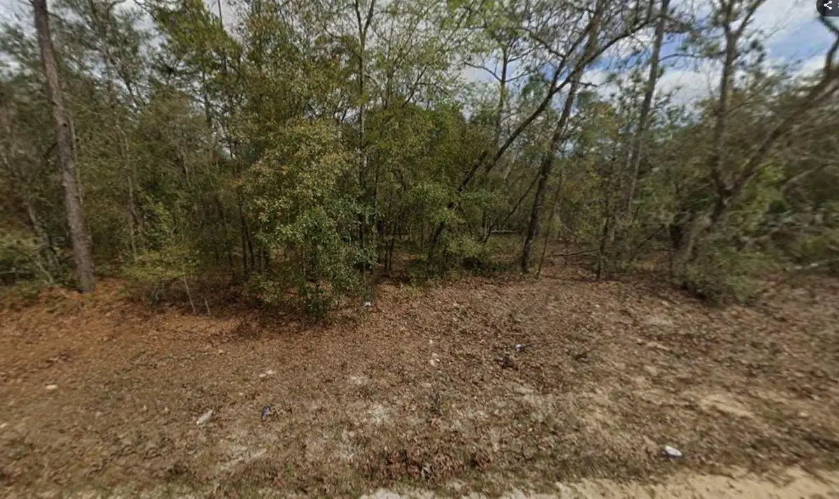 Lot 28 Janet Avenue, Interlachen Florahome, FL 32148 - #1