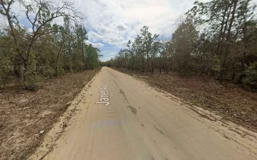 Lot 28 Janet Avenue, Interlachen Florahome, FL 32148 - #2