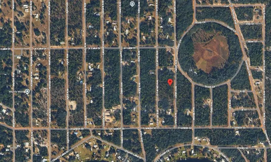 Lot 28 Janet Avenue, Interlachen Florahome, FL 32148 - #3