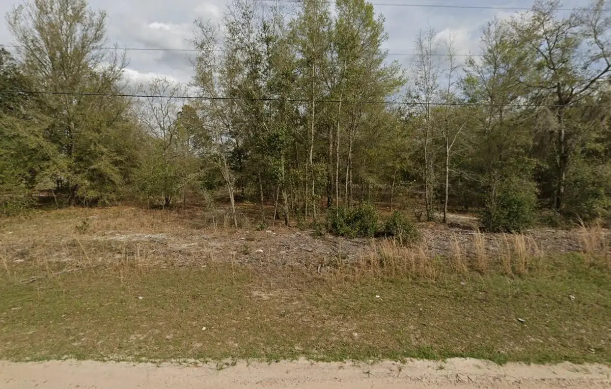 Tbd Marion Avenue, Interlachen Florahome, FL 32148 - #1
