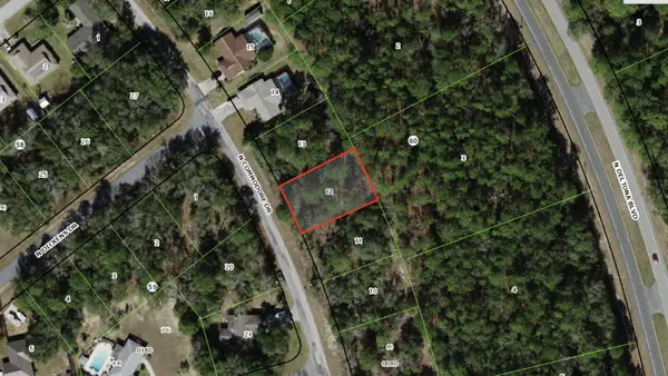 9119 N Commodore Drive, ,, FL 34434