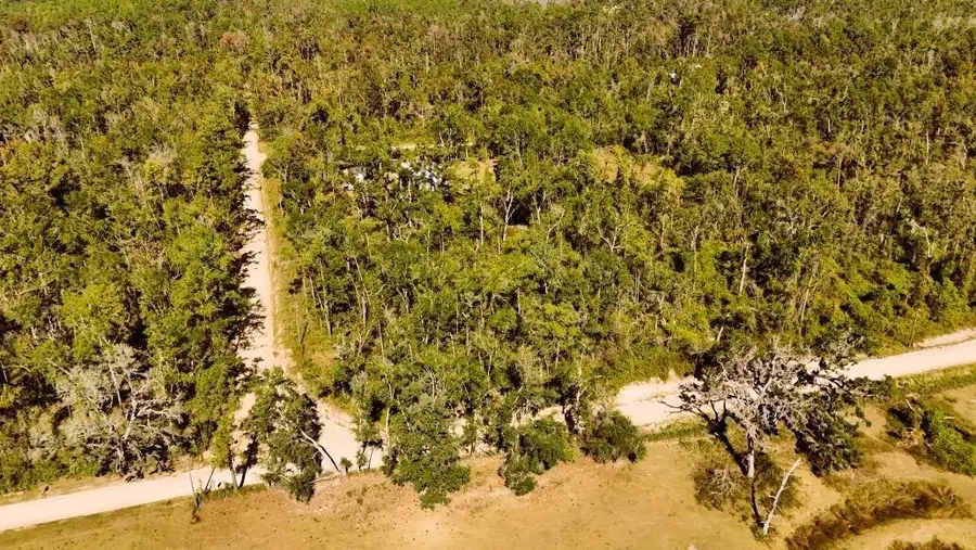 Lot 56 NW 29th Loop, Jennings, FL 32053 - #2