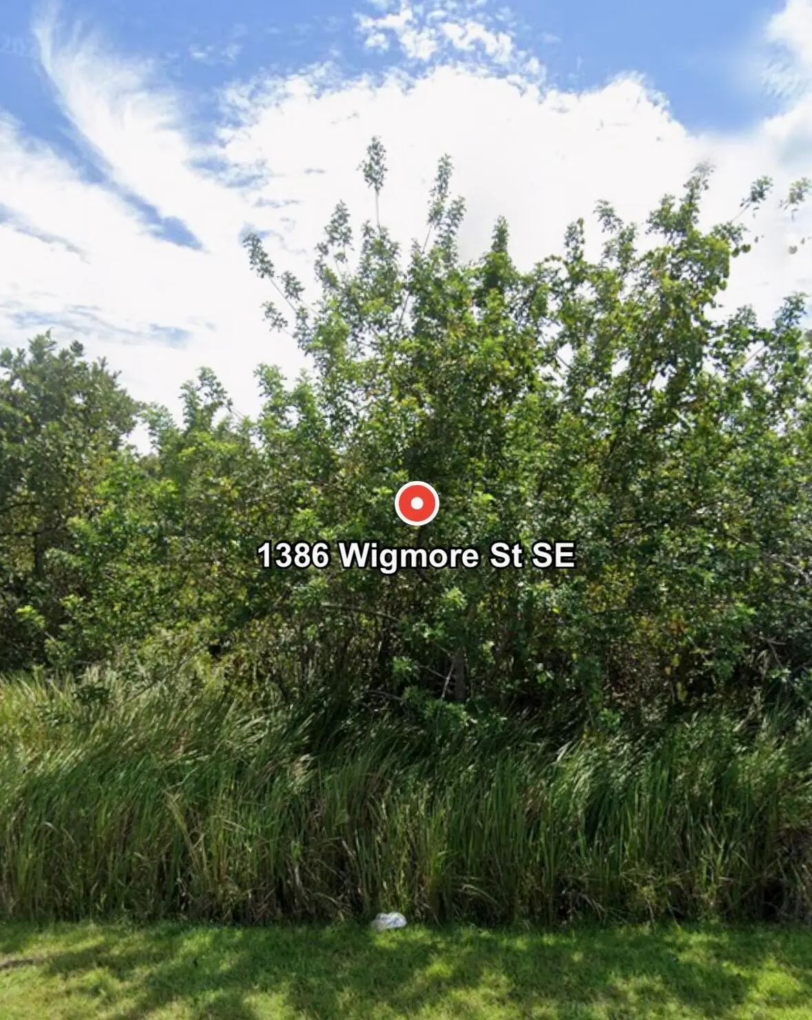 1386 SE Wigmore St Street Se, Palm Bay, FL 32909 - #1