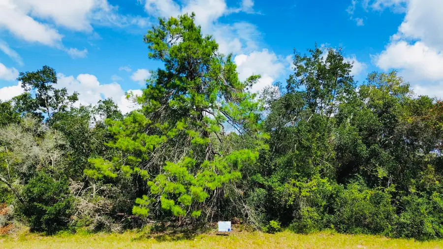 Tbd SW 37th Circle, Ocala, FL 34473 - #2