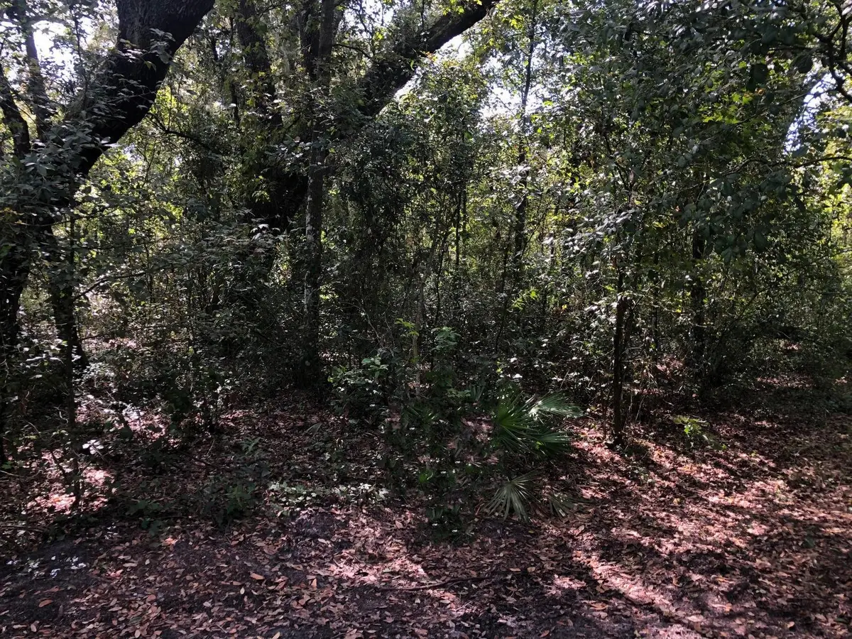 0 Co Rd 54, Kathleen, FL 33849 - #1