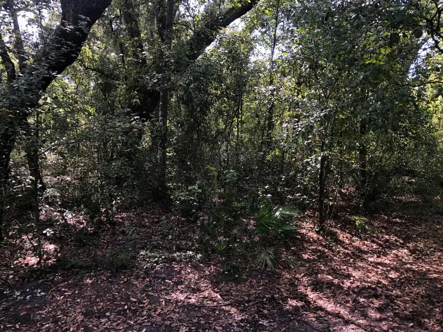 0 Co Rd 54, Kathleen, FL 33849 - #2