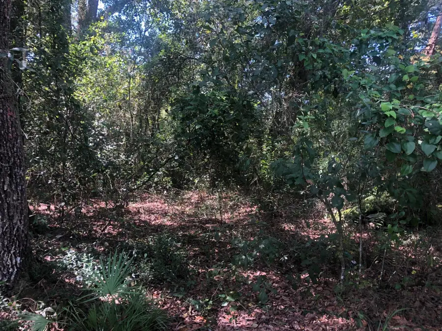 0 Co Rd 54, Kathleen, FL 33849 - #3