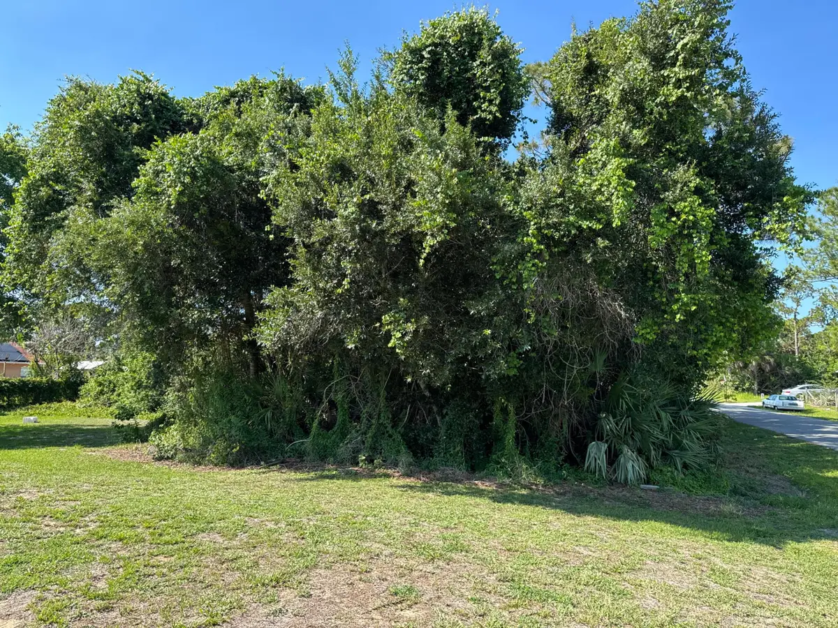 1970 SE Trapp Ave Avenue Se, Palm Bay, FL 32909 - #1