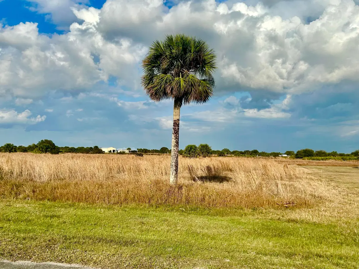 6635 SE 26th Trail, Okeechobee, FL 34974 - #1