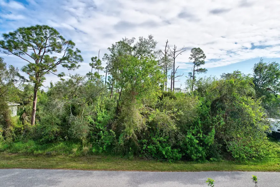 861 Red Bay Street, Port Charlotte, FL 33948 - #3