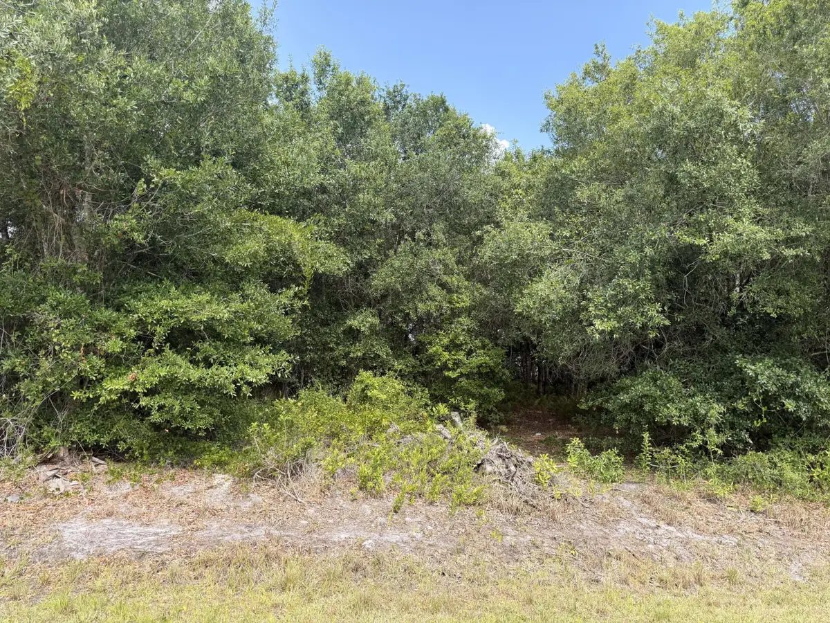 2646 NW 53rd Terrace, Okeechobee, FL 34972 - #1