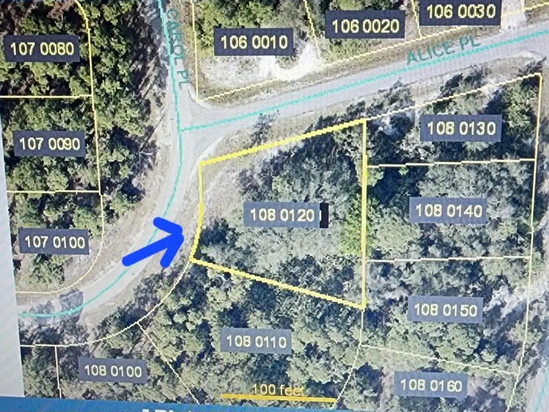 2601 Carol Place, Lehigh Acres, FL 33971 - #1