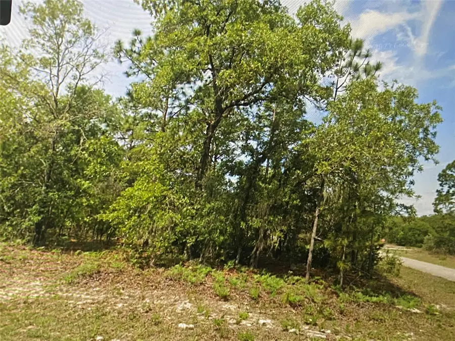 6689 N Bedstrow Boulevard, Pine Ridge, FL 34434 - #3